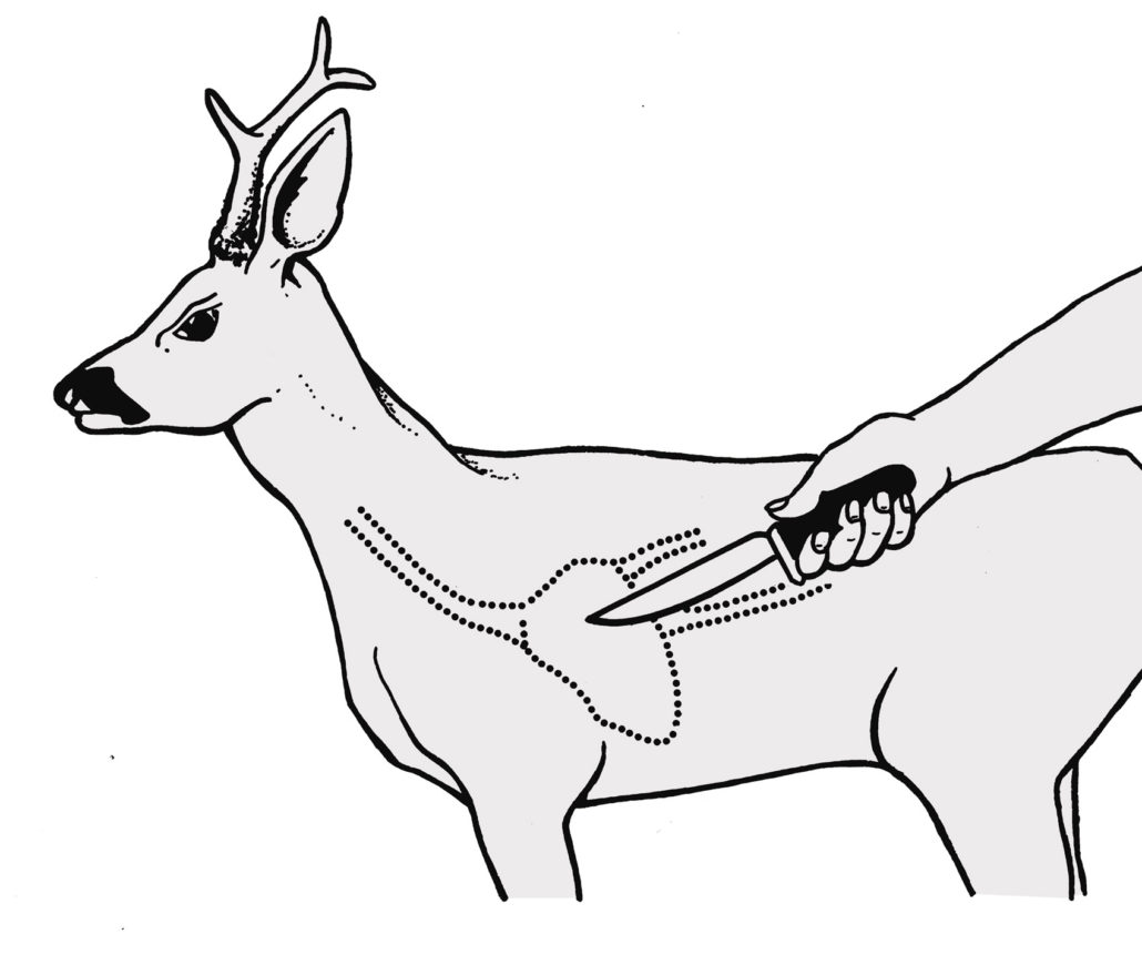 Töten von Schalenwild