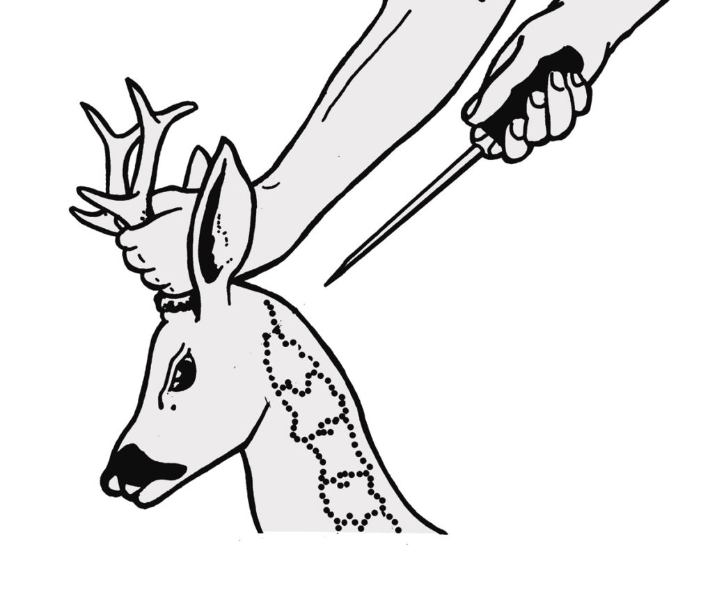 Töten von Schalenwild