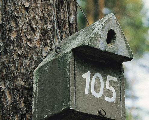 Nistkasten (Bayerischer Giebelkasten)