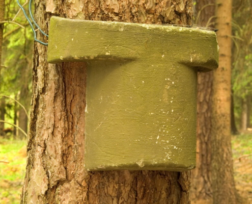 Baumläuferkasten_K.Schmidt_bearbeitet fuer E-Learning