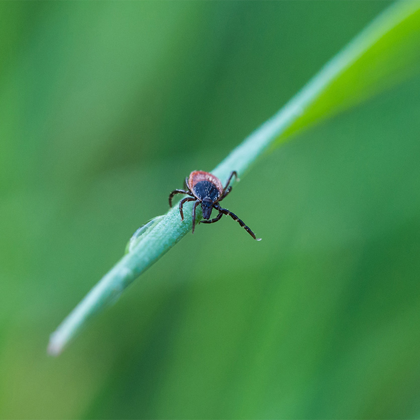 WKH_AdobeStock_127091906